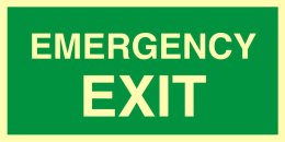 Emergency exit, 15x30 cm, PCV 1 mm