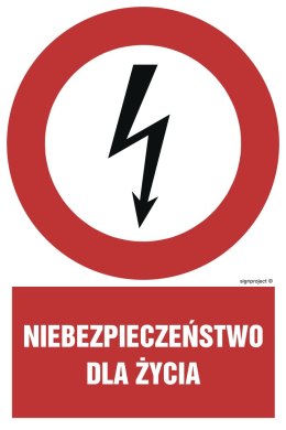 Znak HC001 Niebezpieczeństwo dla życia, 250x375 mm, FN - Folia samoprzylepna