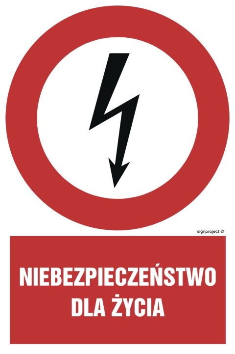 Znak HC001 Niebezpieczeństwo dla życia, 250x375 mm, PN - Płyta 1 mm