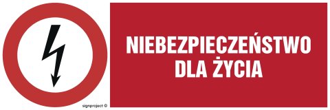 Znak HD001 Niebezpieczeństwo dla życia, 300x100 mm, FN - Folia samoprzylepna