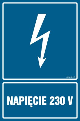 Znak HG008 Napięcie 230 V, 250x375 mm, PN - Płyta 1 mm